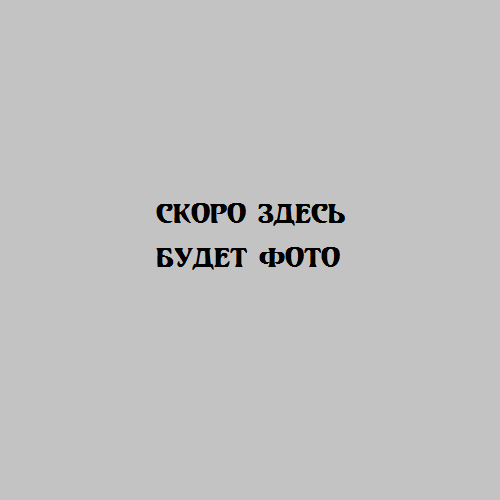 Лаптева Елена Евгеньевна.